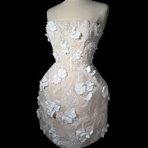 Brand New US 2 Anna Augusta Custom Made Engagement Dress In Nude Color with 3D F